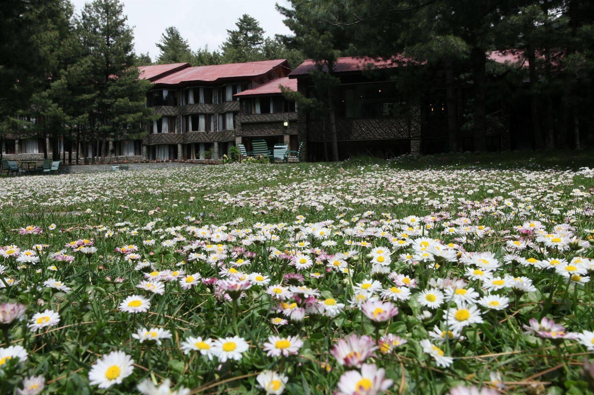 Senator Pine N Peak Hotel Pahalgam Luaran gambar